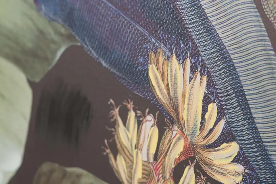 Quadro Macaco 120cm  3