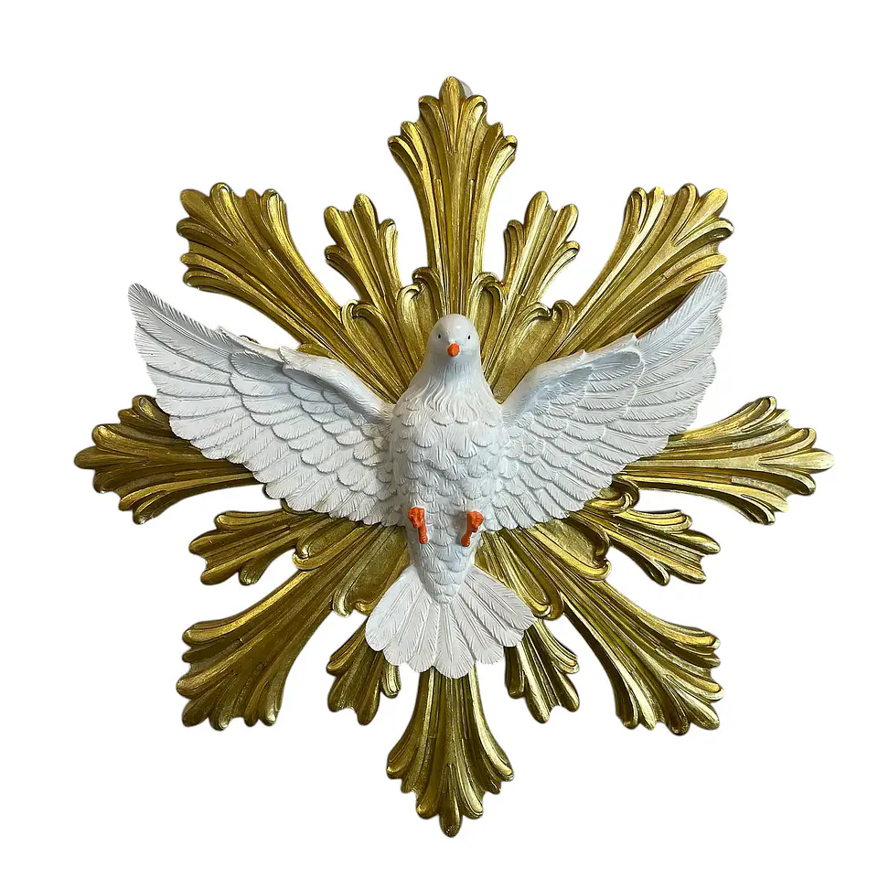 Espirito Santo 15cm  1