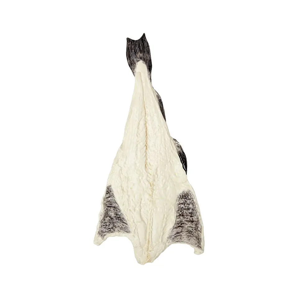 Bacalhau 54cm  1