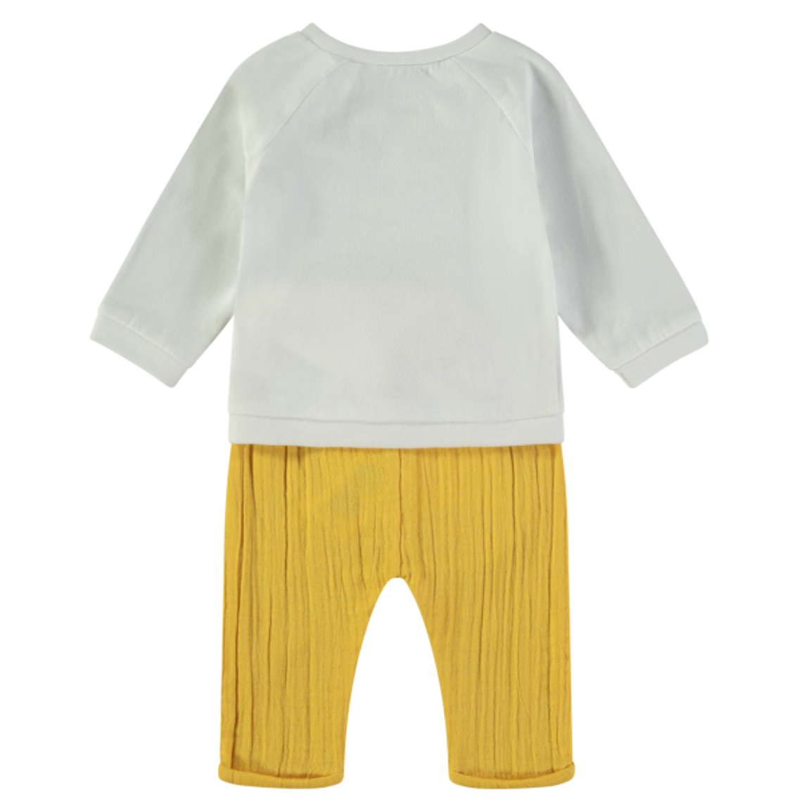 Conjunto duas peças dog 2