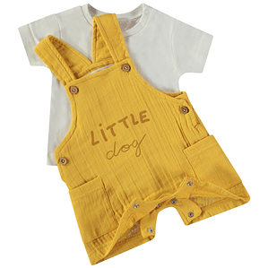 Jardineira com t-shirt