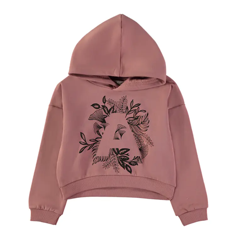 Sweat com capuz 1