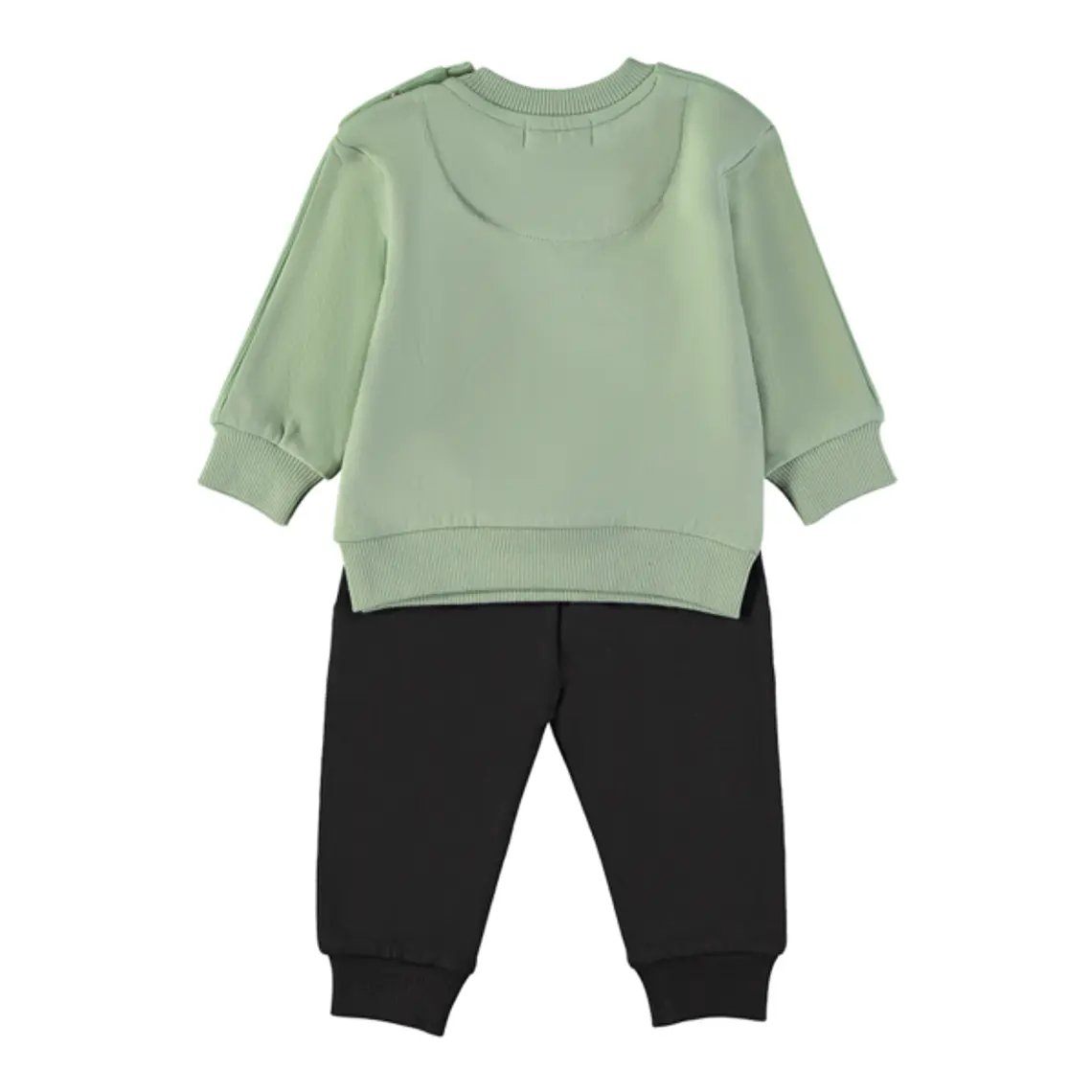 Conjunto dino 2