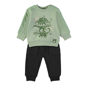 Conjunto dino