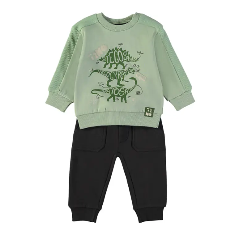 Conjunto dino 1