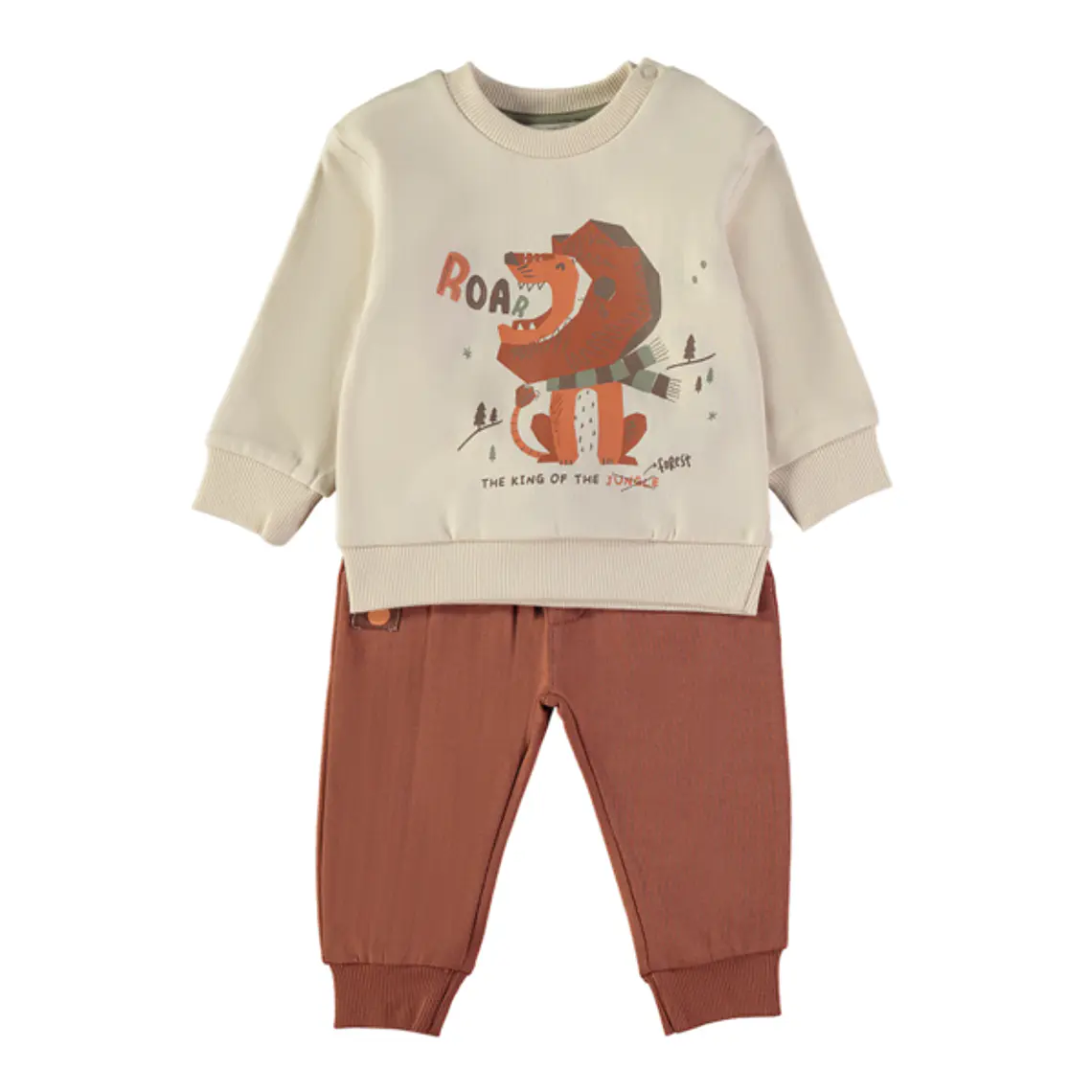 Conjunto leão 1