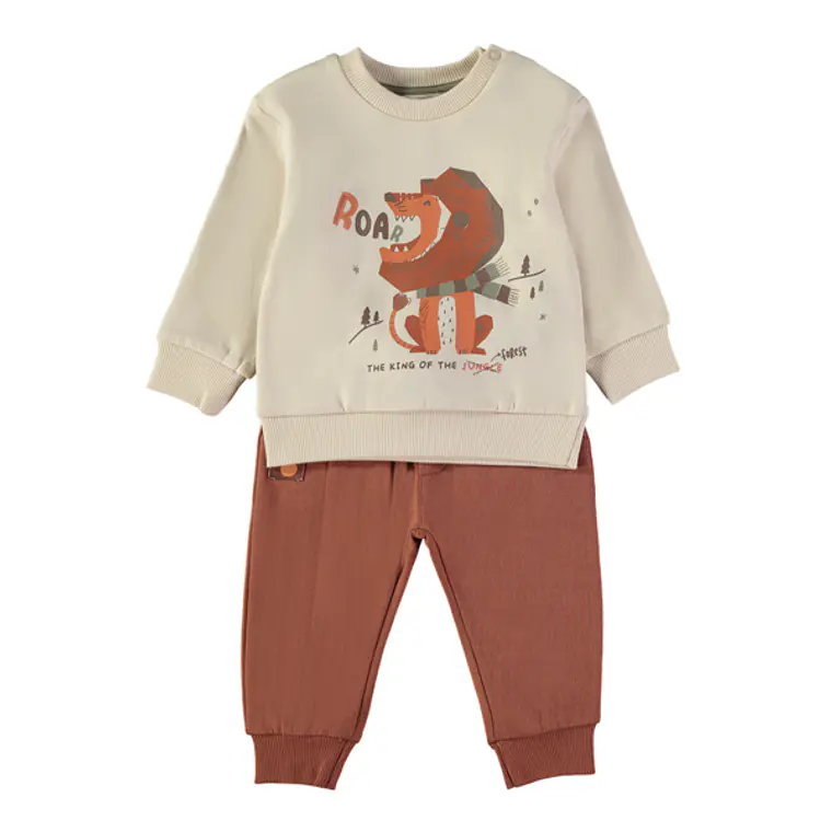 Conjunto leão 1