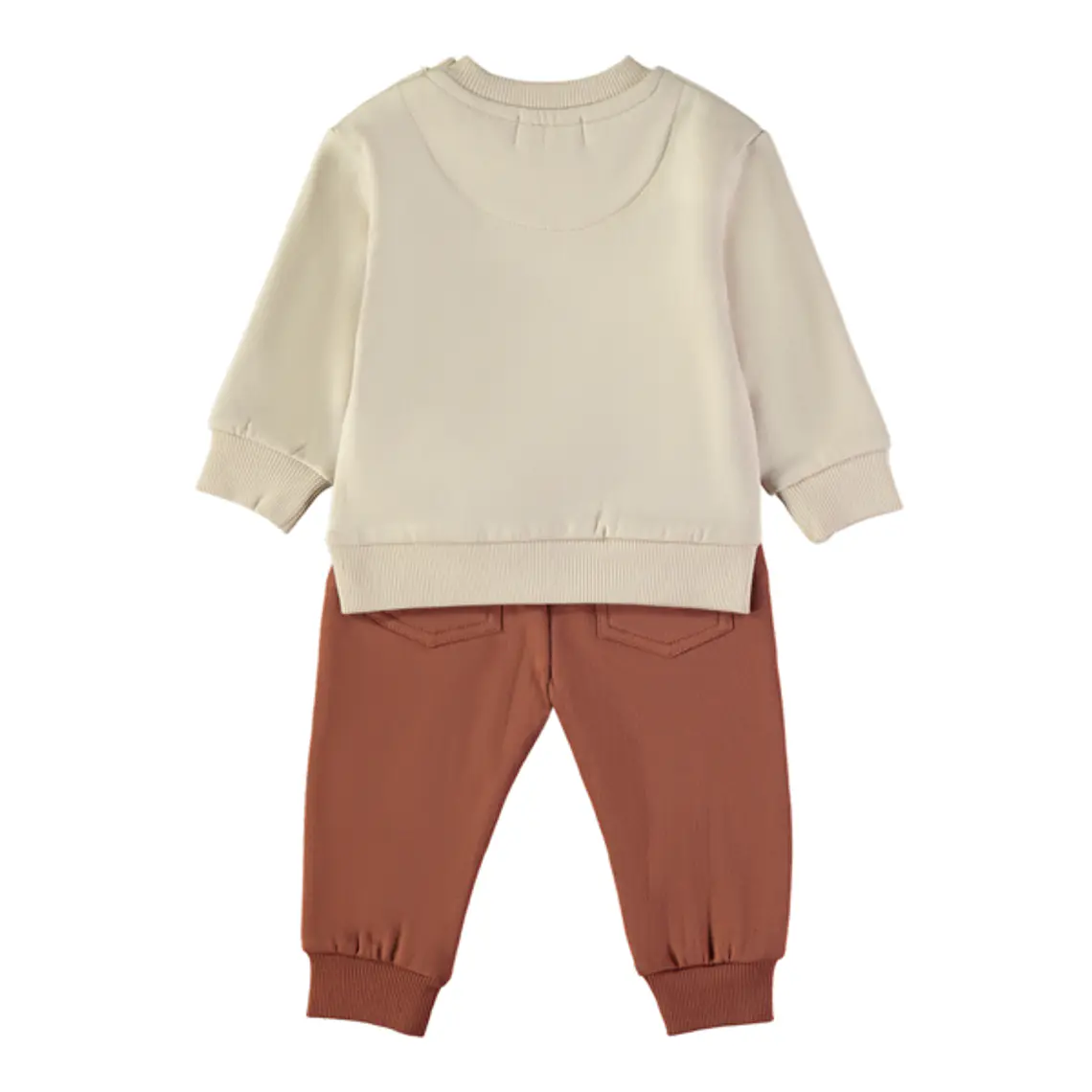 Conjunto leão 2