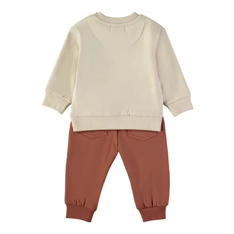 Conjunto leão 2