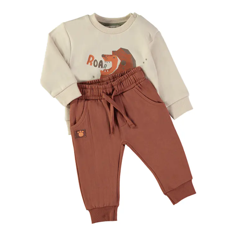 Conjunto leão 3