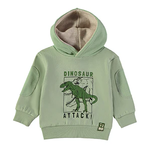 Sweat dinossauro