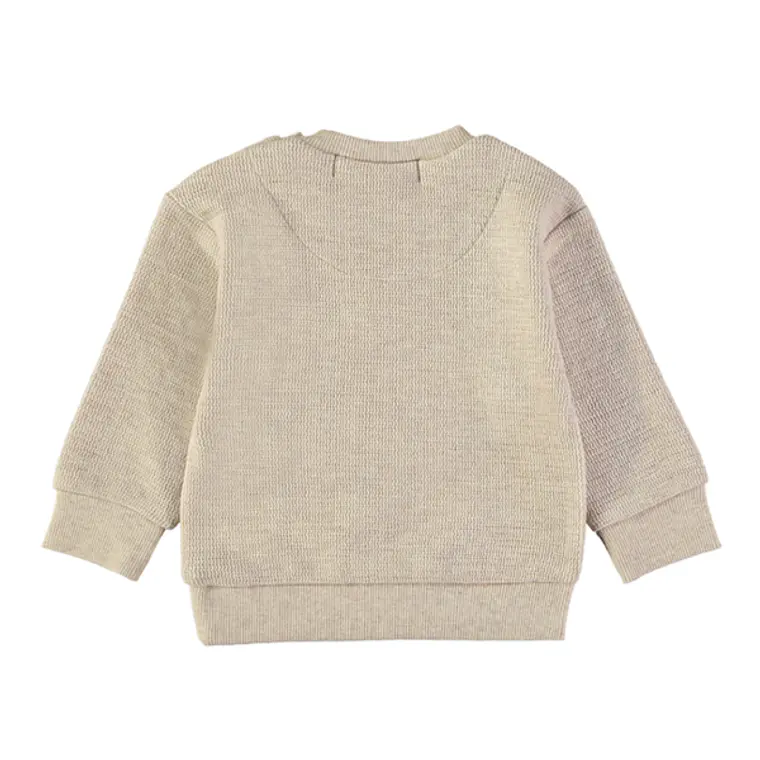 Sweat wild one 2