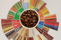 Endiendo el Tostado: La Clave Maestra que Transforma el Grano Verde en Sabor y Aroma (Noviembre 2025).