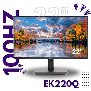 Monitor 22