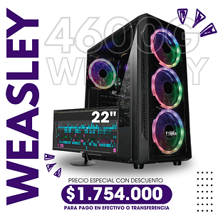 Combo Weasley Ryzen  5 4600G