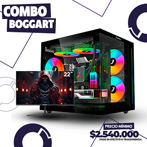 Combo Boggart Ryzen 5 4655G