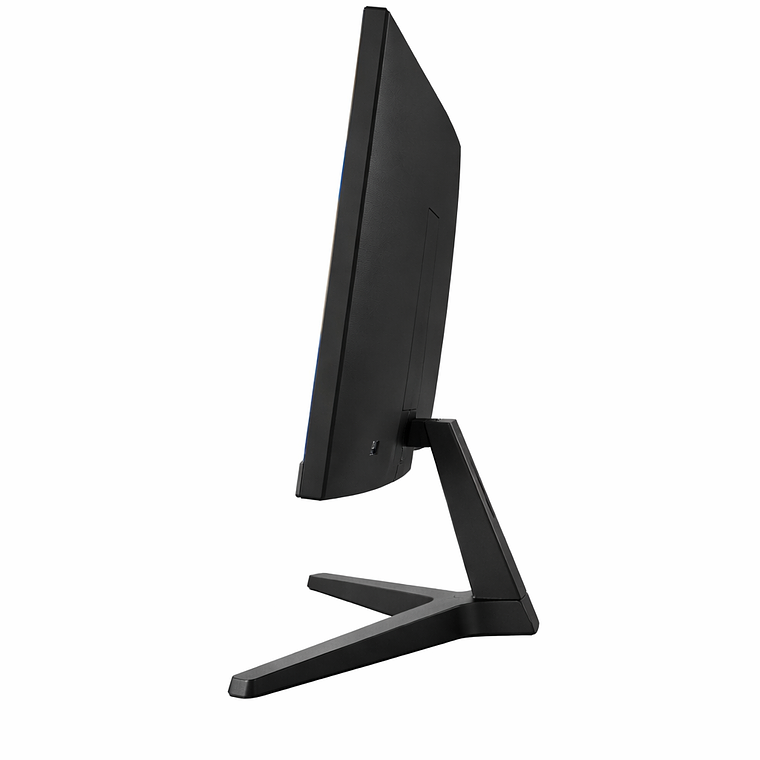 Monitor Samsung 22