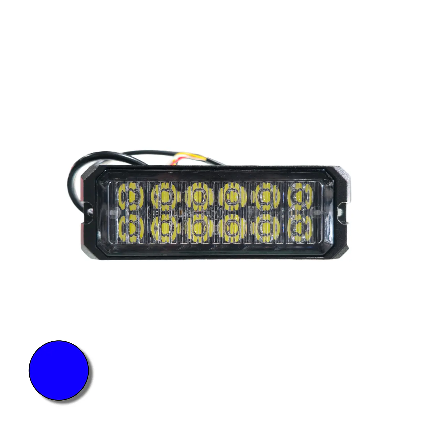 Destellante 12 led Alta Luminosidad Azul 12v/24v 1