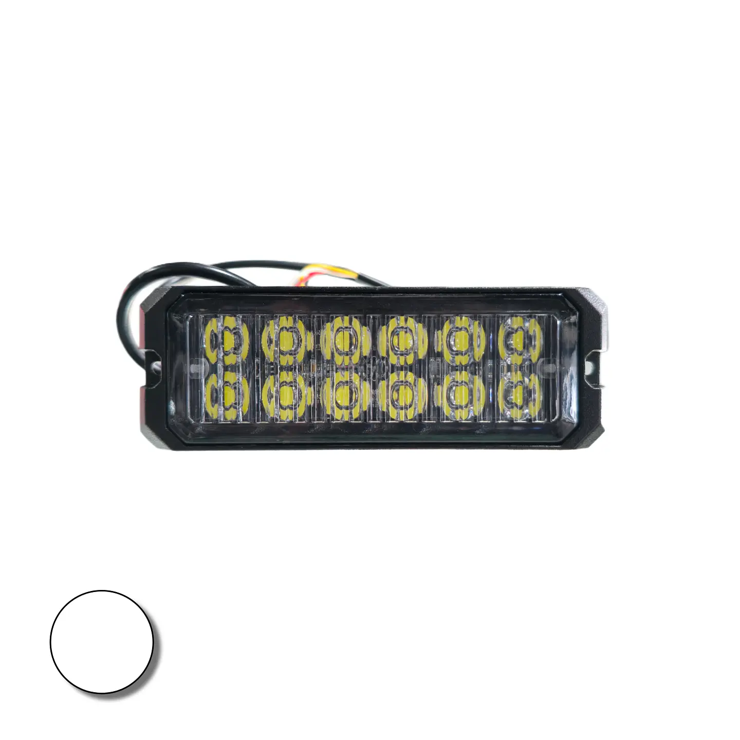 Destellante 12 led Alta Luminosidad Blanco 12v/24v 1