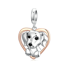 Charm perro tierno