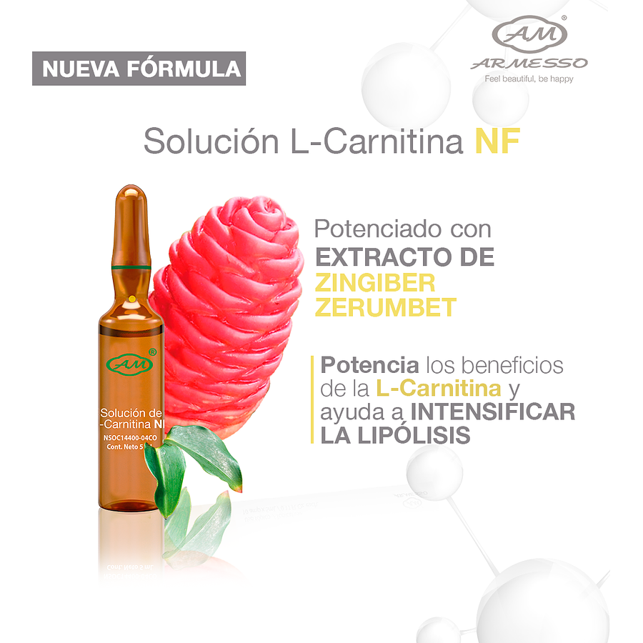 SILICIO ORGÁNICO NF SOLUCIÓN 5ML X 10 UND. - ARMESSO 3