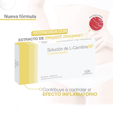 L- CARNITINA NF SOLUCIÓN 5ML X 10 UND. - ARMESSO