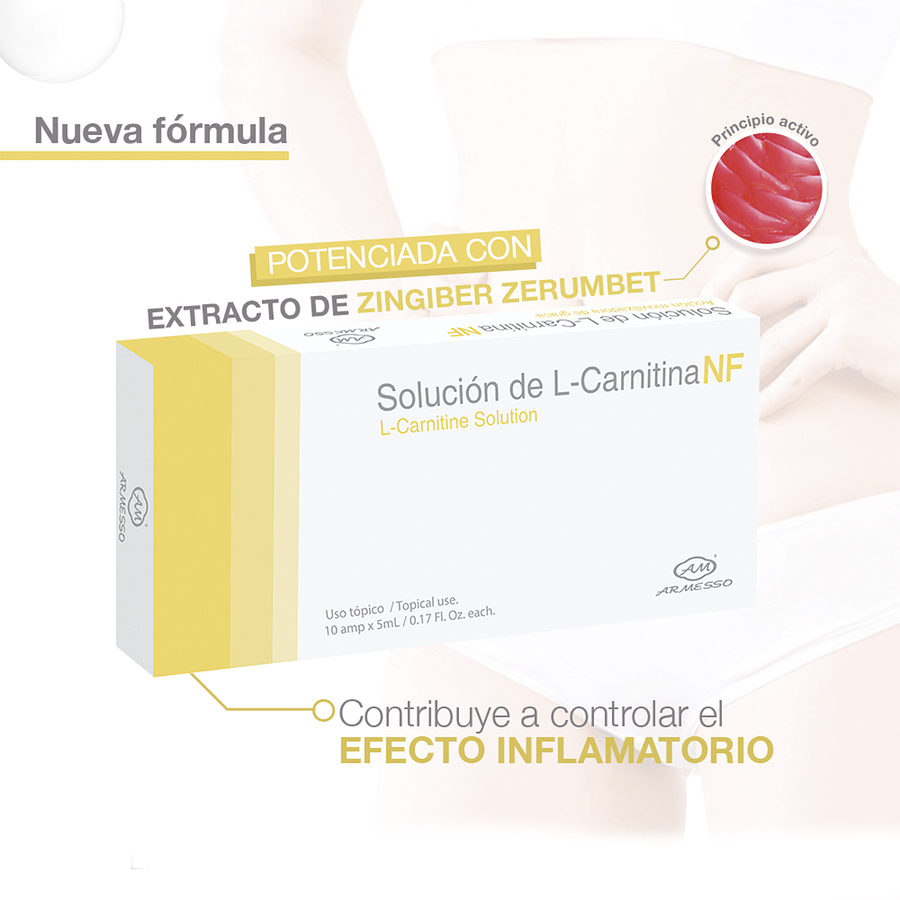 L- CARNITINA NF SOLUCIÓN 5ML X 10 UND. - ARMESSO 2