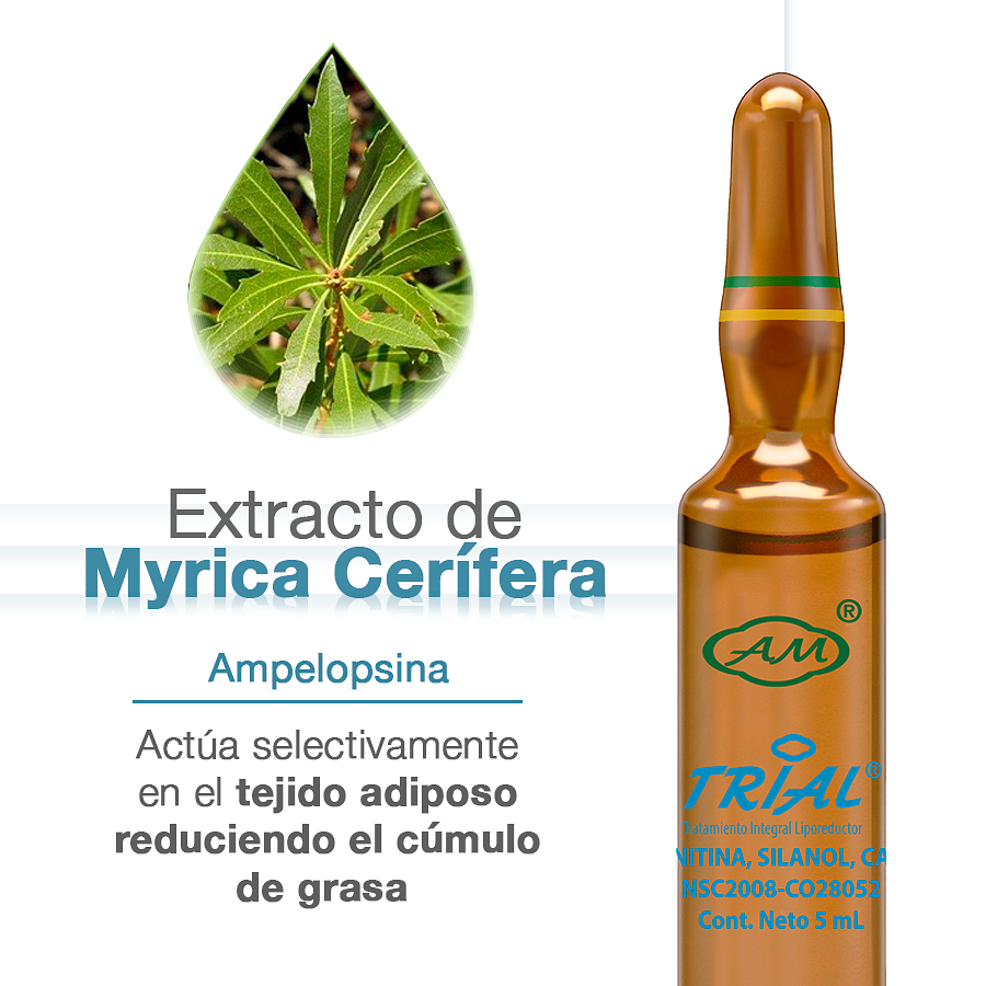 TRIAL LIPOREDUCTORA NF 5ML X 10 UND. - ARMESSO 2