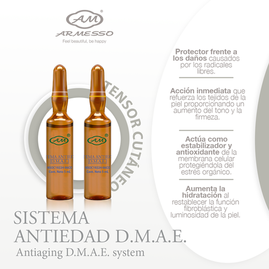 SISTEMA D.M.A.E. SOLUCIÓN 5ML X 10 UND. - ARMESSO 2