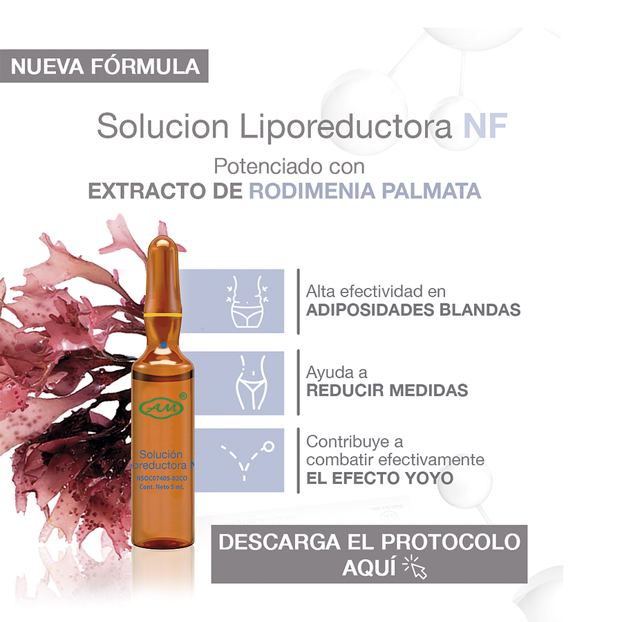 LIPOREDUCTORA SOLUCIÓN NF 5ML X 10 UND. - ARMESSO 2