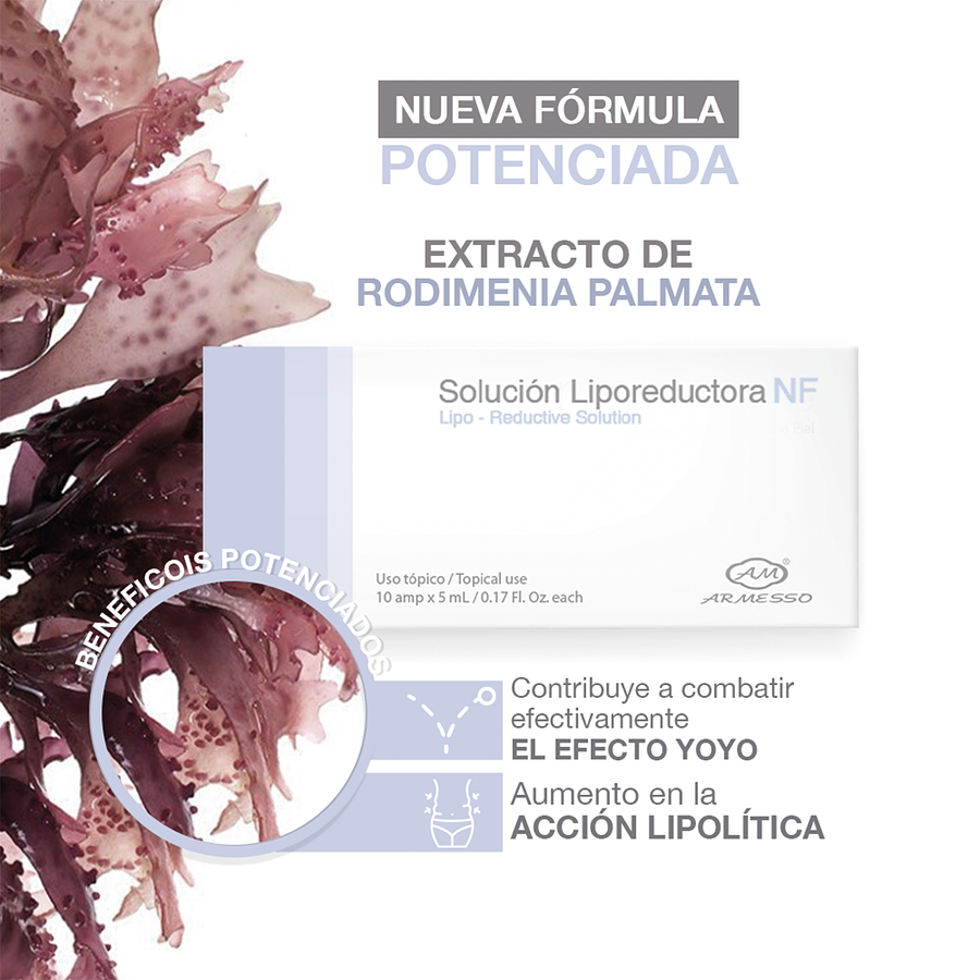 LIPOREDUCTORA SOLUCIÓN NF 5ML X 10 UND. - ARMESSO 3