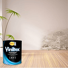 Viniltex Antihumedad Blanco 1
