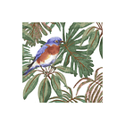 Cuadrado Pared Garden Pájaro Multicolor Cara Única 20.5 X 20.5 1