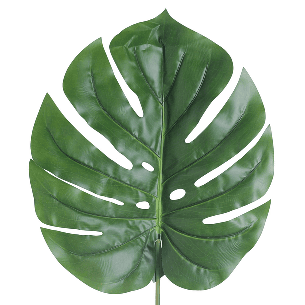 Hoja Palma Hawaiana Verde 105 Cm 1