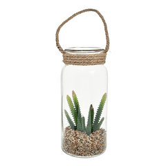 Cactus En Botella Decorativo 11 X 24.5 Cm