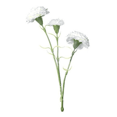 Flor Clavel Blanca 61 Cm