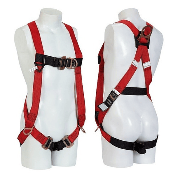 Arnes 4 Argolla En H 