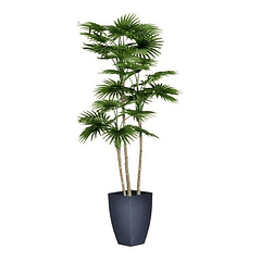Planta Artificial Livistona Con Maceta 105 Cm