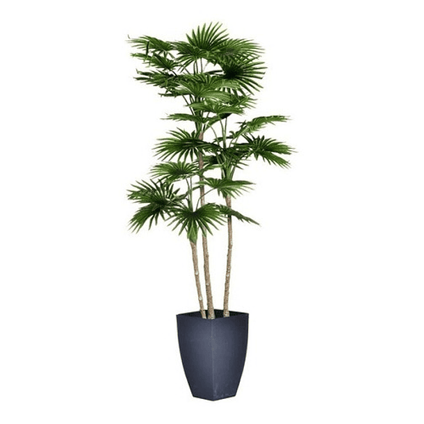 Planta Artificial Livistona Con Maceta 105 Cm 1
