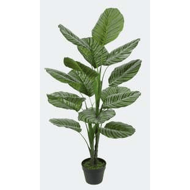 Planta Artificial Verde Con Pote Negro 120 X 60 X 120 Cm 2