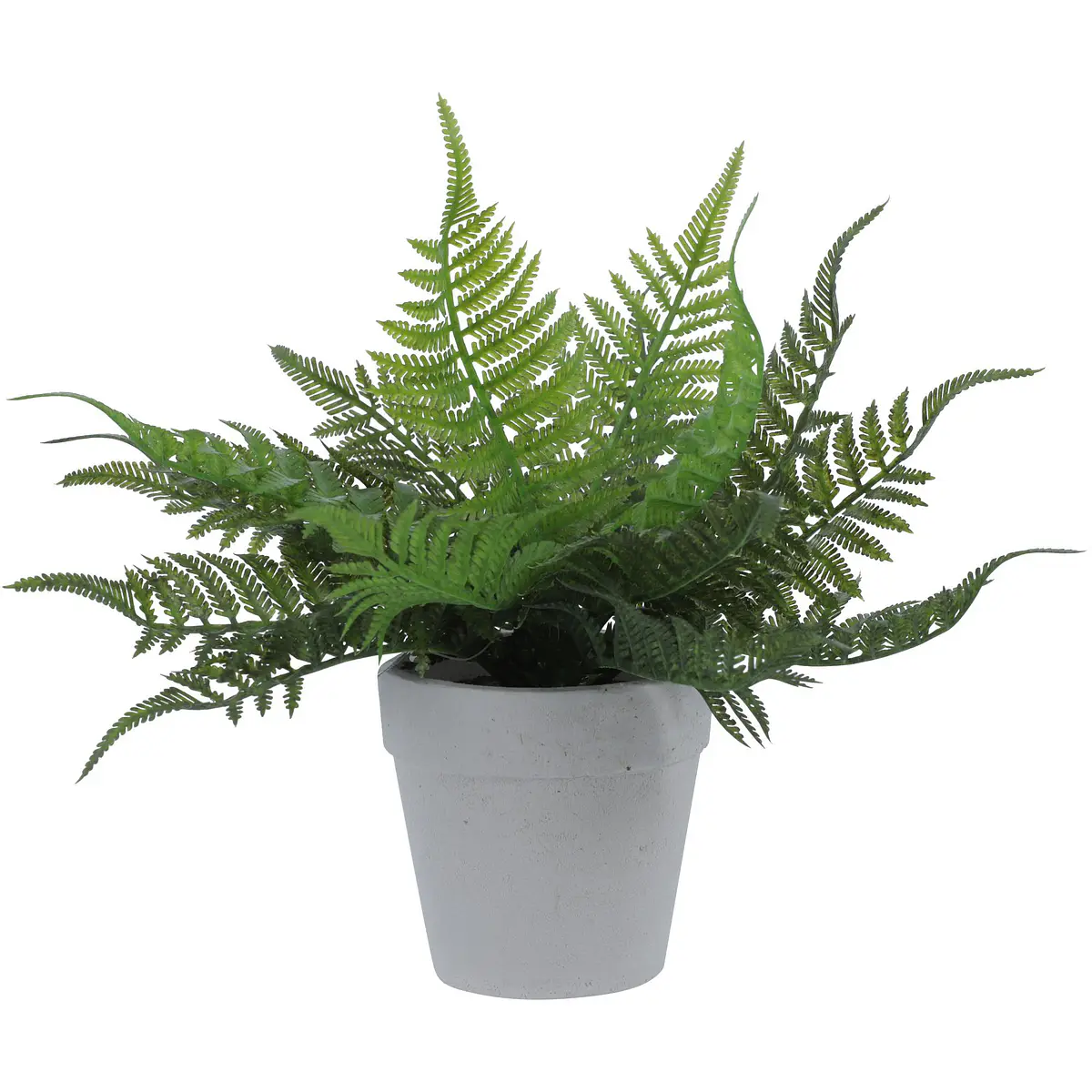Planta Filicopsida Verde Con Pote Blanco X 21 Cm