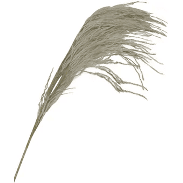 Rama Decorativa Pampas Plumas Blancas De 134 Cm 