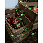 Extensión X 20 Luces Led Diseño Hojas Verdes Y Bayas Rojas 2