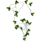 Extensión X 20 Luces Led Diseño Hojas Verdes Y Bayas Rojas 4