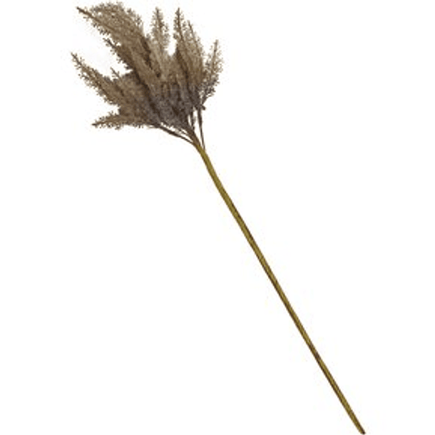 Rama Decorativa Pampa Beige De 77 Cm 