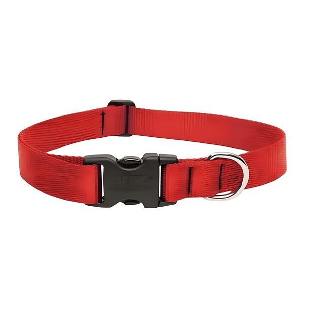 Collar Rojo Para Perro 16 A 28 PuLG 