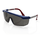 Gafa De Protección Oscura Policarbonato Al026 1