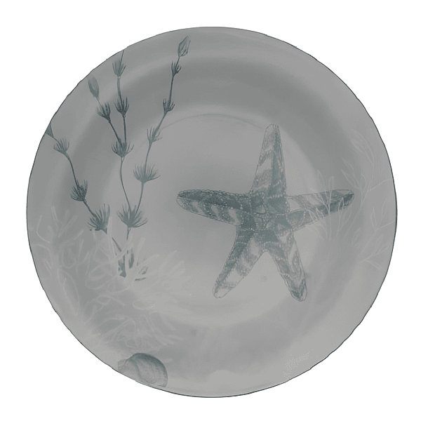 Portaplato Decorativo Estrella De Mar 33 X 33 X 2 Cm 