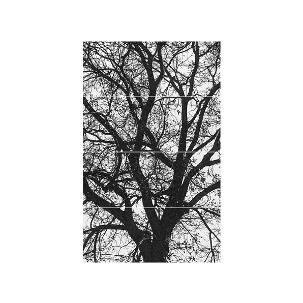 Base Decorada Mural Paloma Negra  