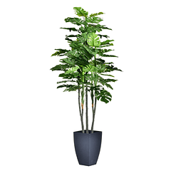 Planta Montesera Verde Con Pote 110Cm Concepts 592-143057